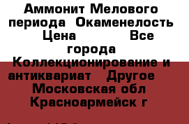 Аммонит Мелового периода. Окаменелость. › Цена ­ 2 800 - Все города Коллекционирование и антиквариат » Другое   . Московская обл.,Красноармейск г.